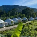 Teras Bhumi Glamping, Menginap di Tengah Alam Puncak dengan Nuansa Asri