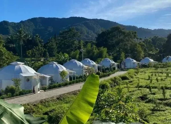 Teras Bhumi Glamping, Menginap di Tengah Alam Puncak dengan Nuansa Asri