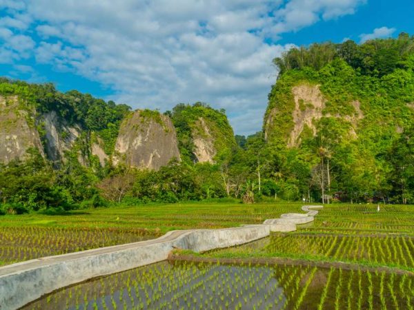 Ngarai Sianok, Permen Bumi di Jantung Minangkabau
