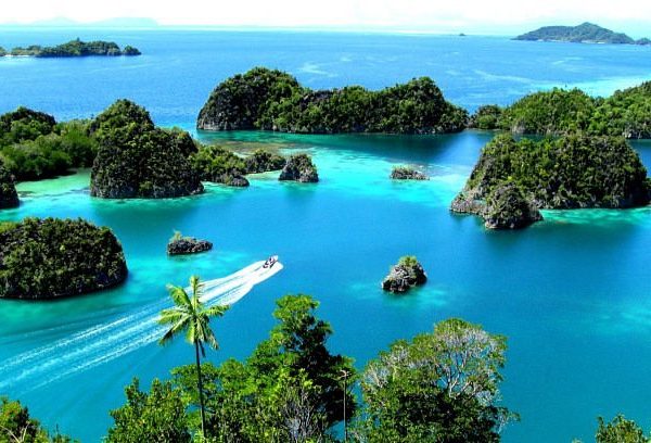 Raja Ampat, Surga Tersembunyi di Jantung Papua Barat
