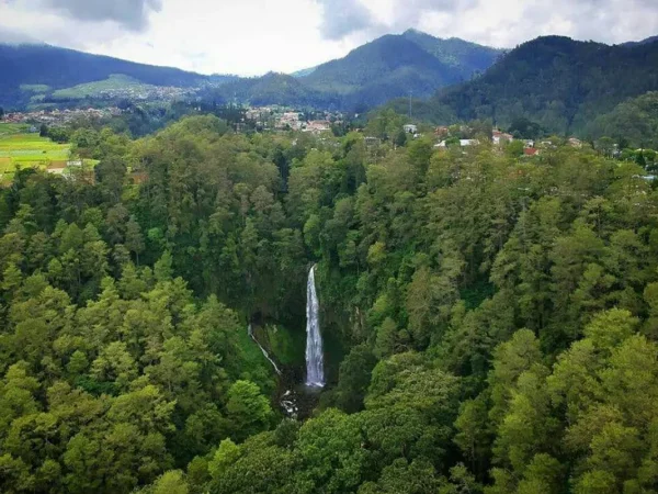 Pesona Air Terjun Sosowongso, Surga Tersembunyi di Jawa Timur