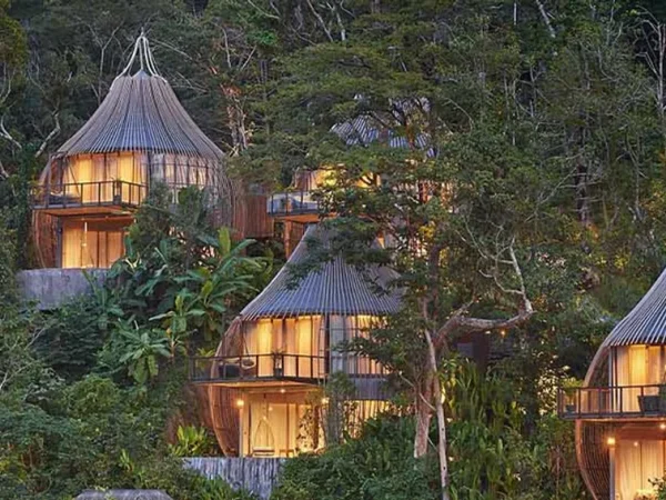 Treehouse Hotels, Menginjakkan Kaki di Dunia Ajaib Urban yang Tersembunyi