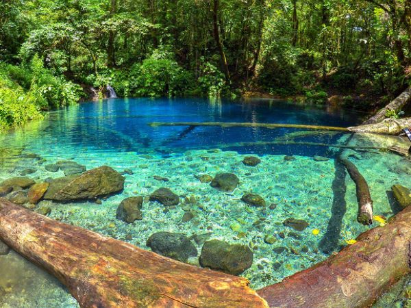 Danau Kaco Kerinci, Kejernihan Air, Hutan Rimba, dan Petualangan Alam
