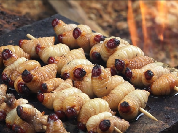 Keunikan Sate Ulat Sagu, Eksplorasi Kuliner Ekstrem Nusantara