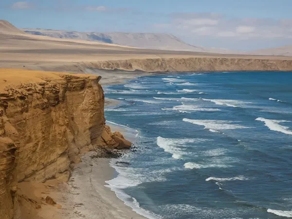 Paracas National Reserve, Surga Gurun dan Laut di Pesisir Peru