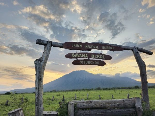 Taman Nasional Baluran, “Little Africa” di Ujung Timur Jawa