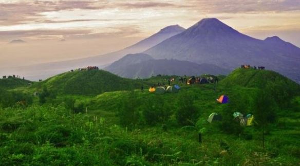 Bukit Teletubbies, Wonosobo, Pemandangan Alam yang Memikat