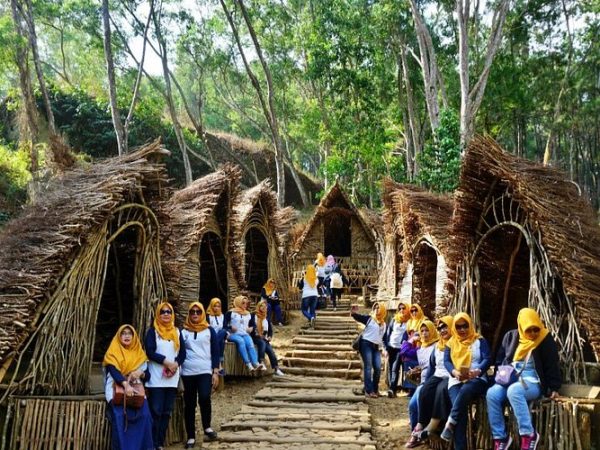 Hutan Pinus Mangunan