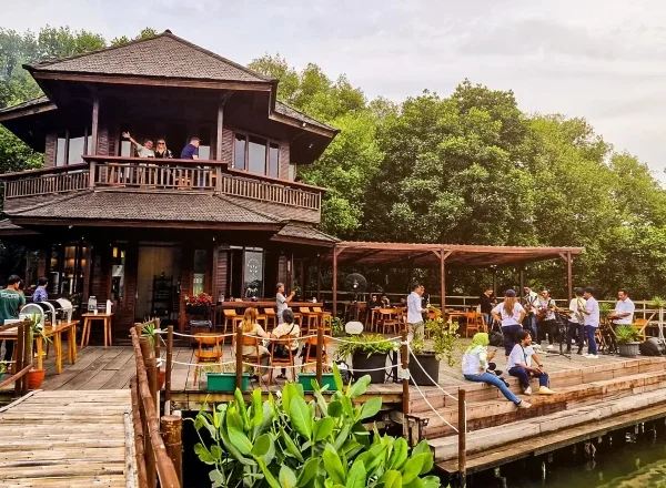 Menyusuri Keindahan Hutan Mangrove PIK, Oase Hijau di Utara Jakarta