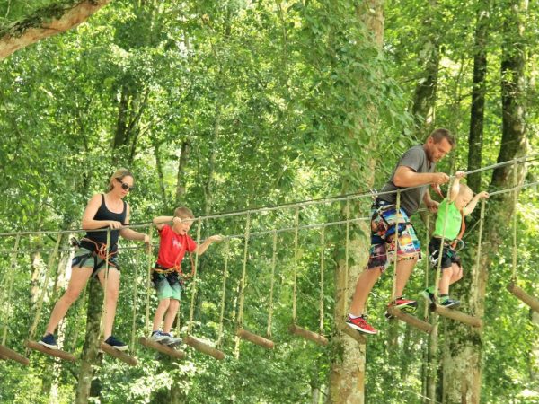 Bali Treetop Adventure Park, Petualangan Melalui Kanopi Hutan di Kebun Raya Bedugul