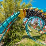 Busch Gardens Tampa Bay, Petualangan Afrika di Florida yang Penuh Adrenalin dan Satwa Liar
