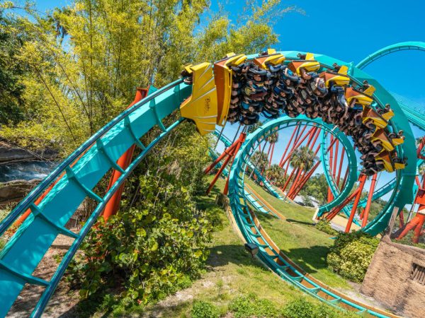 Busch Gardens Tampa Bay, Petualangan Afrika di Florida yang Penuh Adrenalin dan Satwa Liar